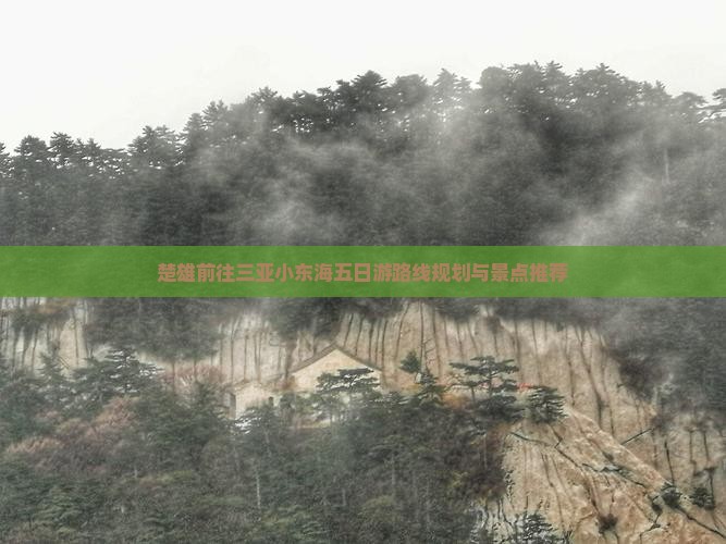 楚雄前往三亚小东海五日游