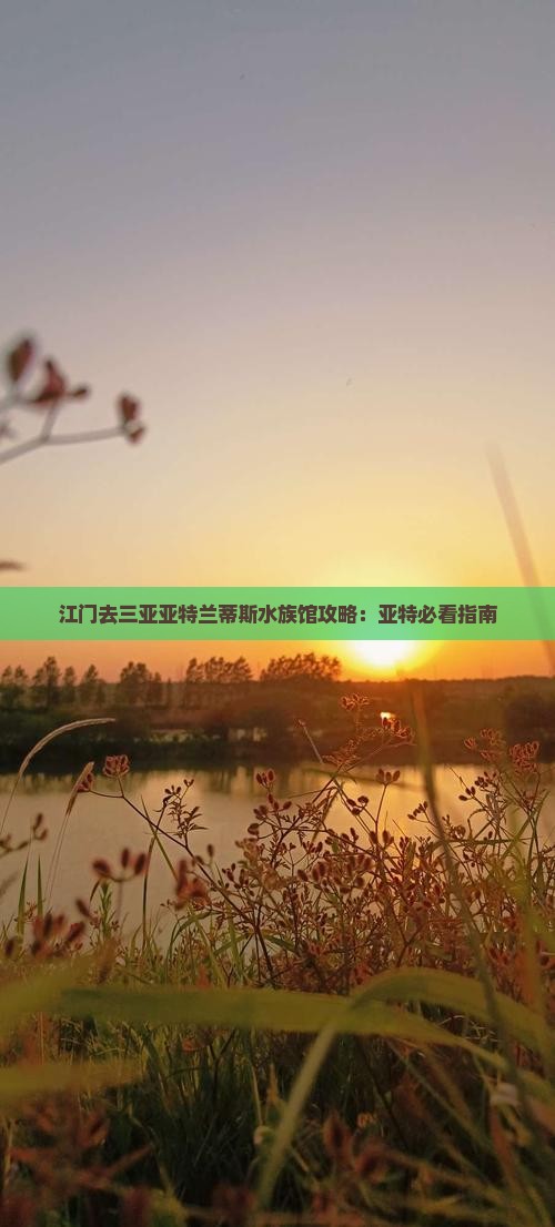 江门去三亚亚特兰蒂斯水族馆自由团
