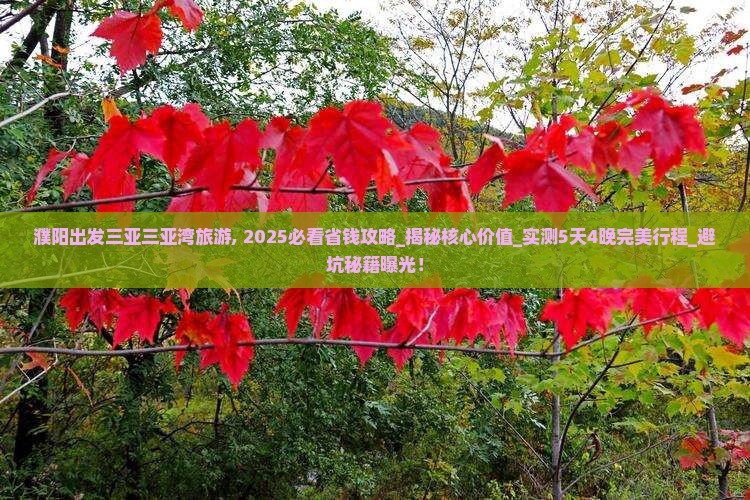 濮阳出发三亚三亚湾旅游
