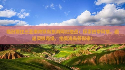 临汾前往三亚南湾猴岛旅游网红地点