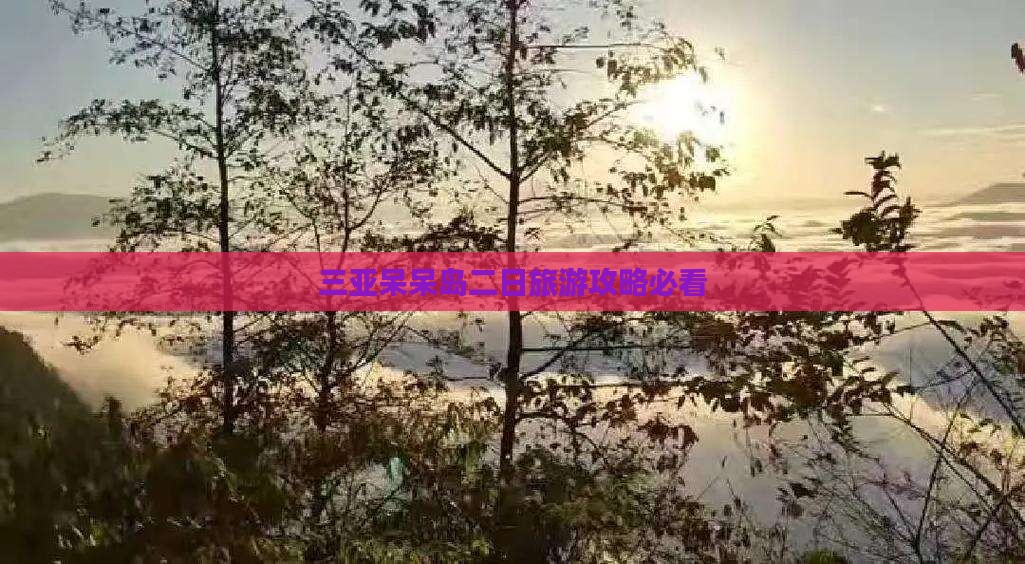 大丰去三亚呆呆岛二日游