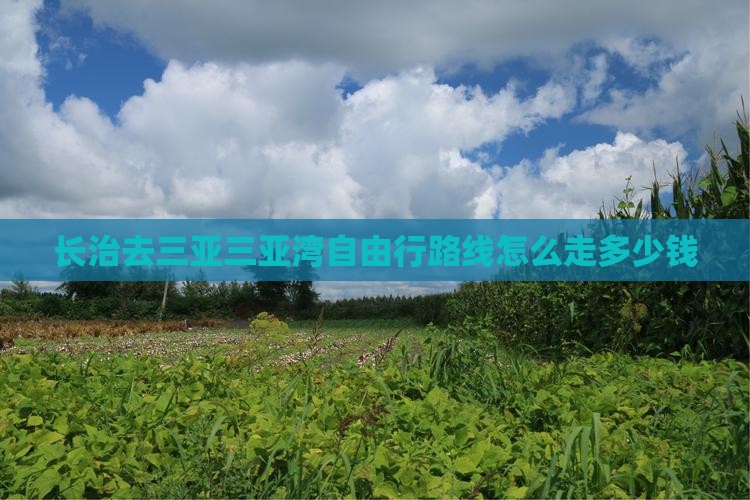长治去三亚三亚湾自由行