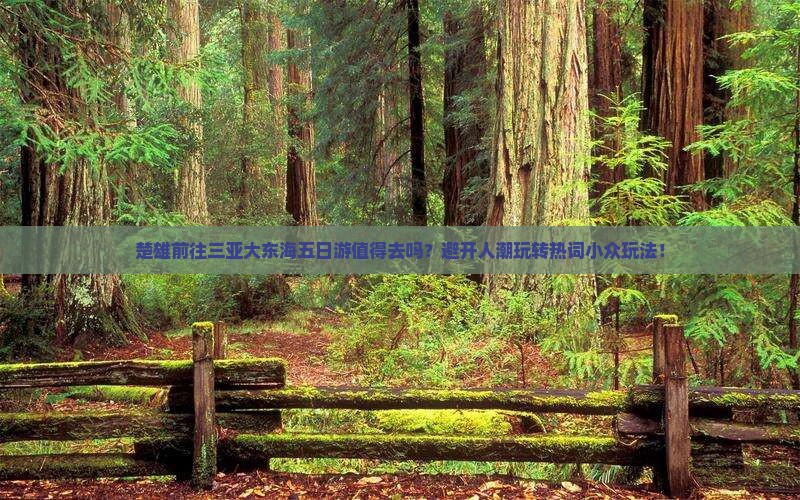 楚雄前往三亚大东海五日游