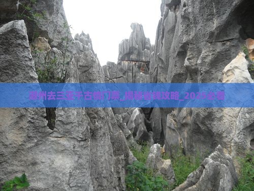 潮州去三亚千古情门票