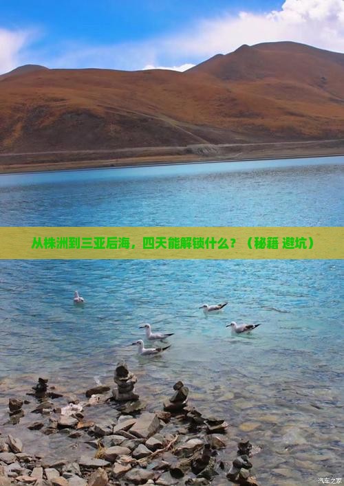 株洲去三亚后海四日游