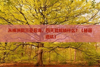 株洲去三亚后海四日游