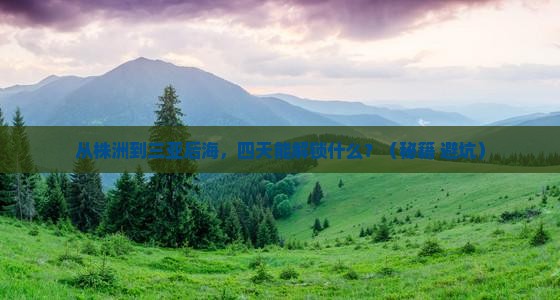 株洲去三亚后海四日游