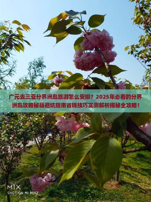 广元去三亚分界洲岛旅游