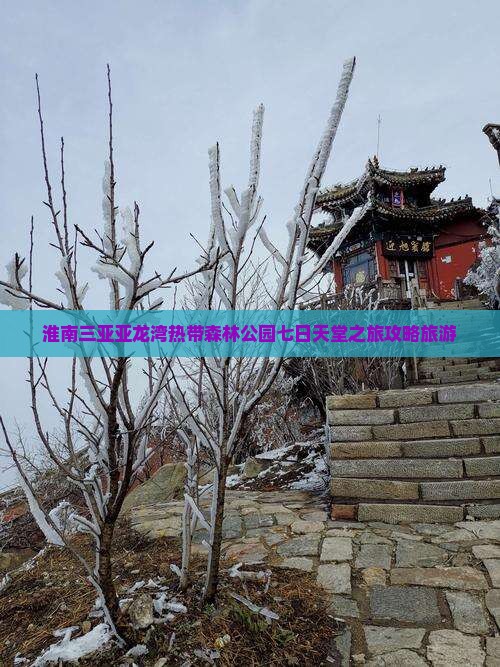 淮南出发三亚亚龙湾热带森林公园七日游