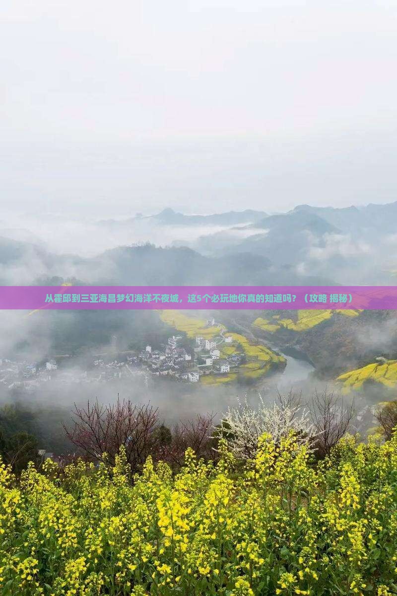 霍邱前往三亚海昌梦幻海洋不夜城必玩地 霍邱前往三亚海昌梦幻海洋不夜城必玩地