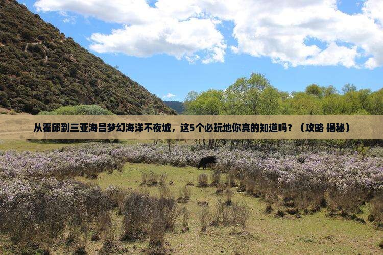 霍邱前往三亚海昌梦幻海洋不夜城必玩地 霍邱前往三亚海昌梦幻海洋不夜城必玩地