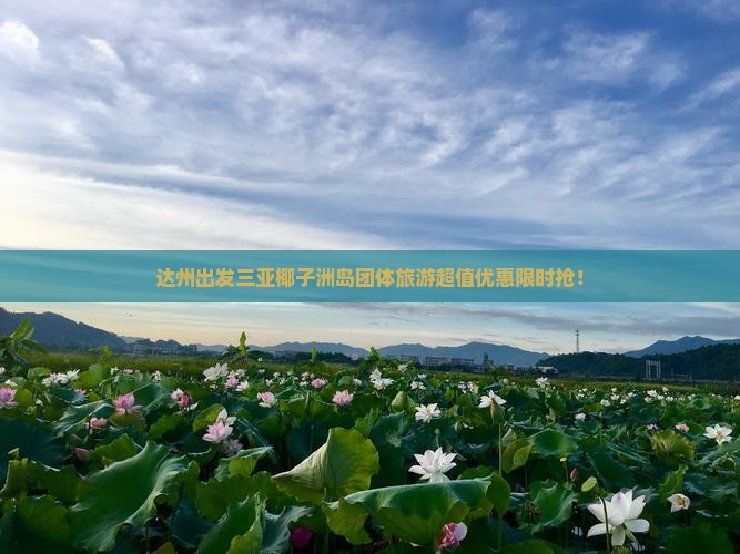 达州出发三亚椰子洲岛团体旅游