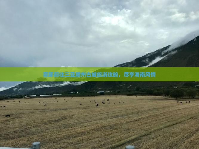 霍邱前往三亚崖洲古城攻略