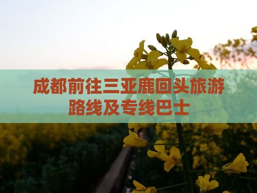 成都前往三亚鹿回头旅游