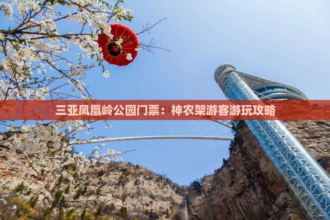 神农架去三亚凤凰岭公园门票