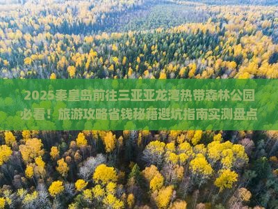 秦皇岛前往三亚亚龙湾热带森林公园旅游网红地点