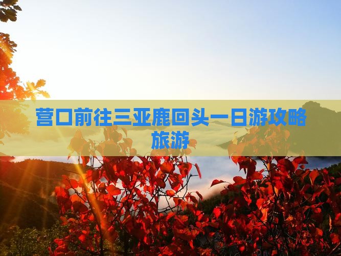 营口前往三亚鹿回头一日游