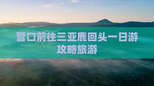 营口前往三亚鹿回头一日游