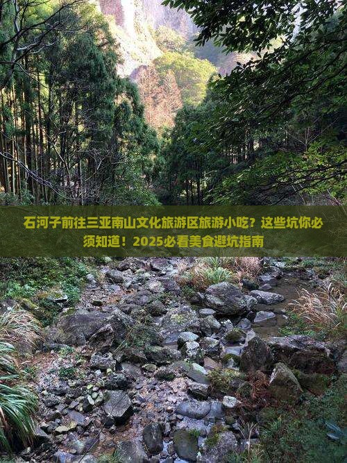 石河子前往三亚南山文化旅游区旅游小吃