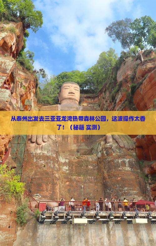 泰州去三亚亚龙湾热带森林公园旅游
