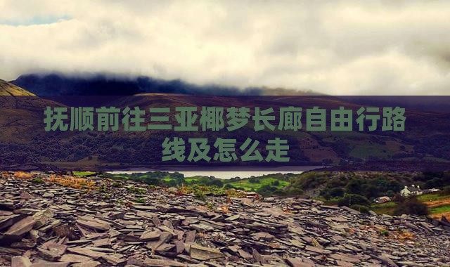 抚顺前往三亚椰梦长廊自由行