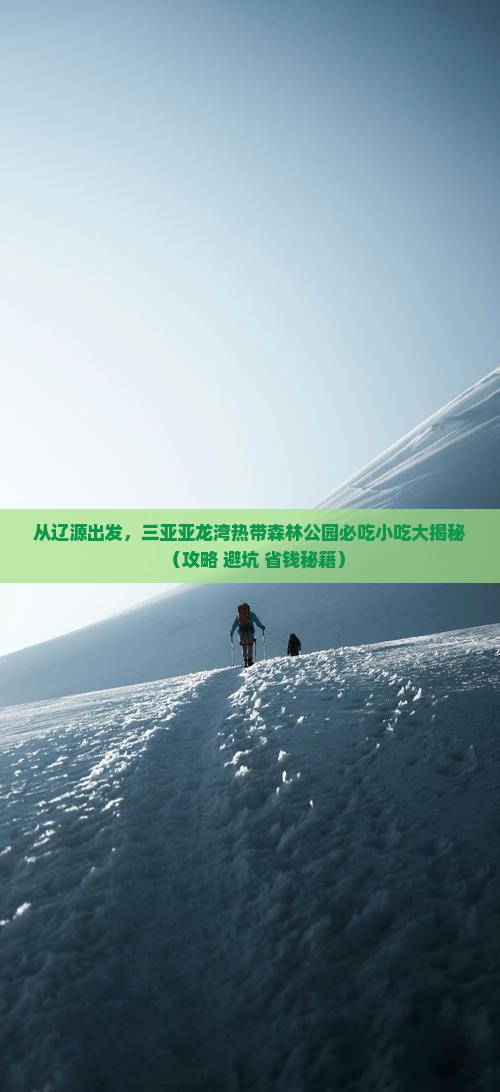 辽源出发三亚亚龙湾热带森林公园旅游小吃