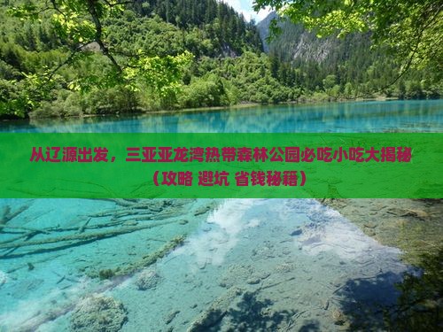 辽源出发三亚亚龙湾热带森林公园旅游小吃