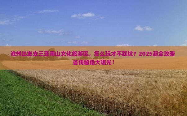 沧州去三亚南山文化旅游区旅行社