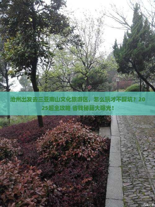 沧州去三亚南山文化旅游区旅行社