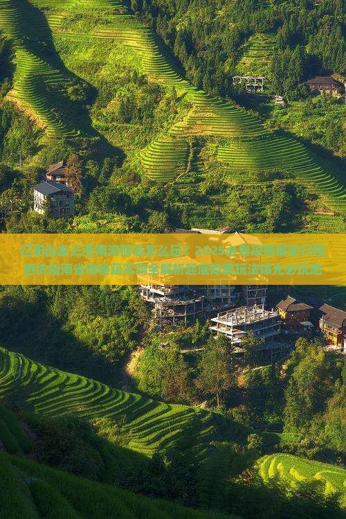 辽阳出发三亚南湾猴岛必玩地
