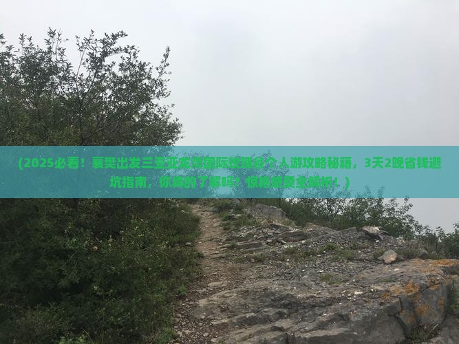 襄樊出发三亚亚龙湾国际玫瑰谷个人游