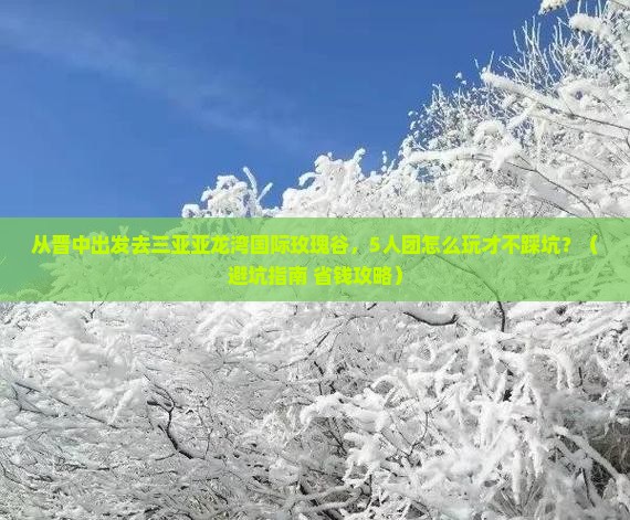 晋中出发三亚亚龙湾国际玫瑰谷团体旅游