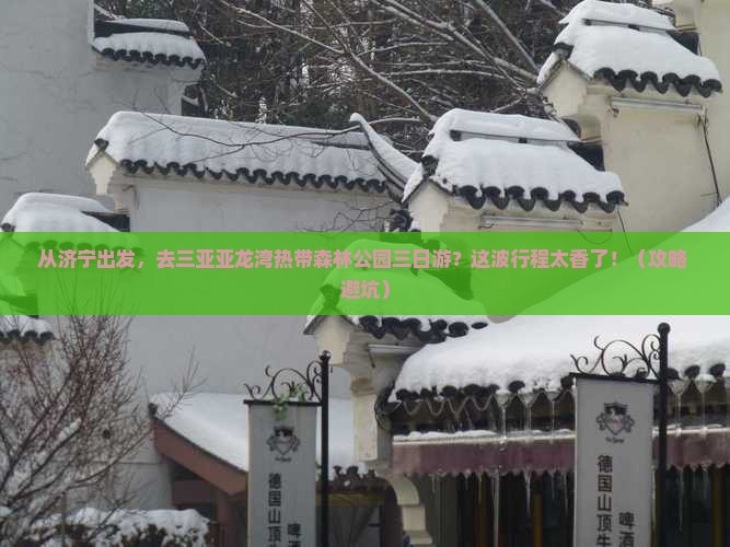 济宁出发三亚亚龙湾热带森林公园三日游