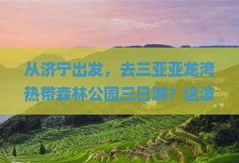 济宁出发三亚亚龙湾热带森林公园三日游