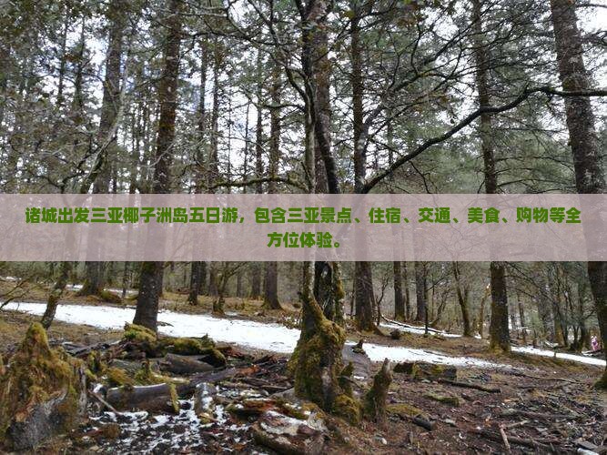 诸城出发三亚椰子洲岛五日游
