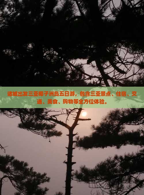 诸城出发三亚椰子洲岛五日游
