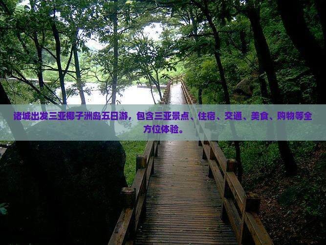 诸城出发三亚椰子洲岛五日游