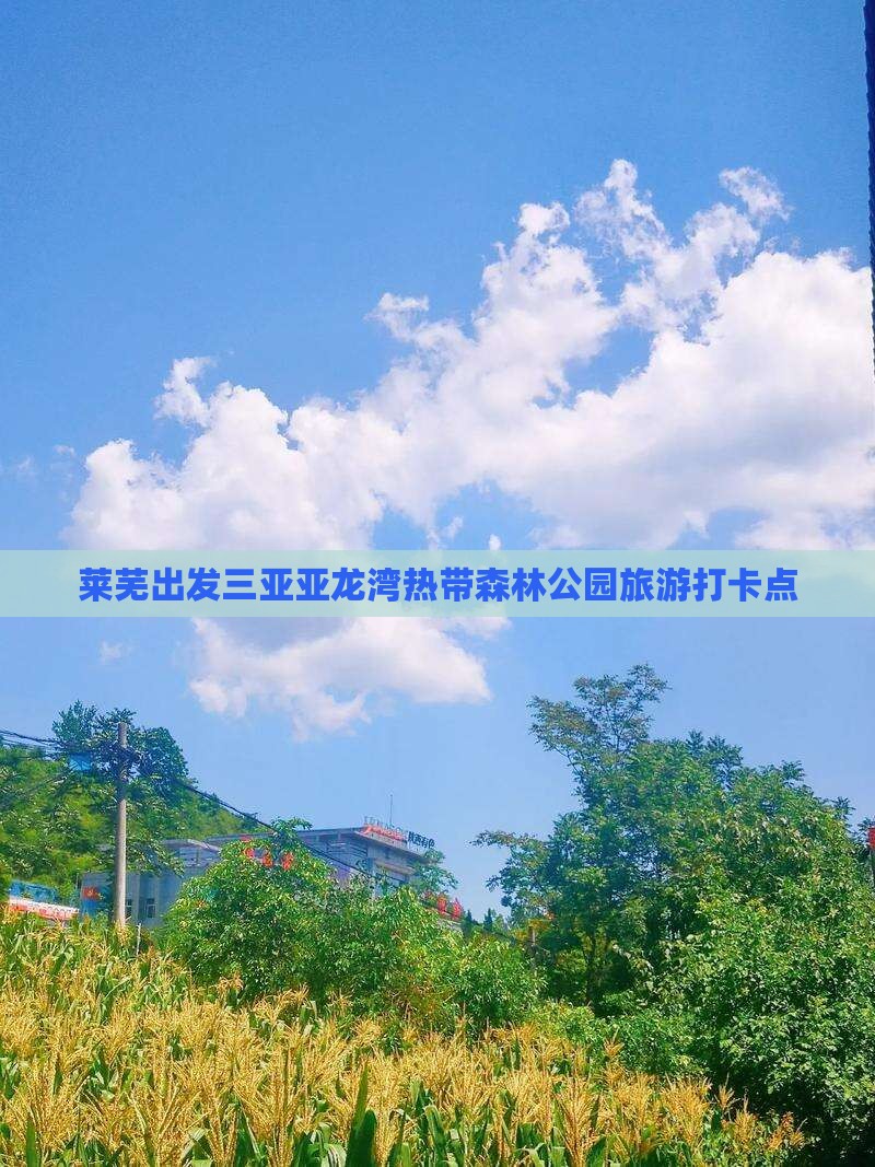 莱芜出发三亚亚龙湾热带森林公园旅游打卡点