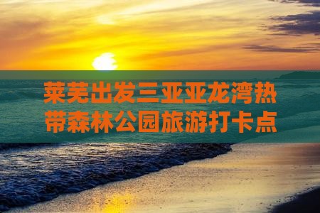 莱芜出发三亚亚龙湾热带森林公园旅游打卡点