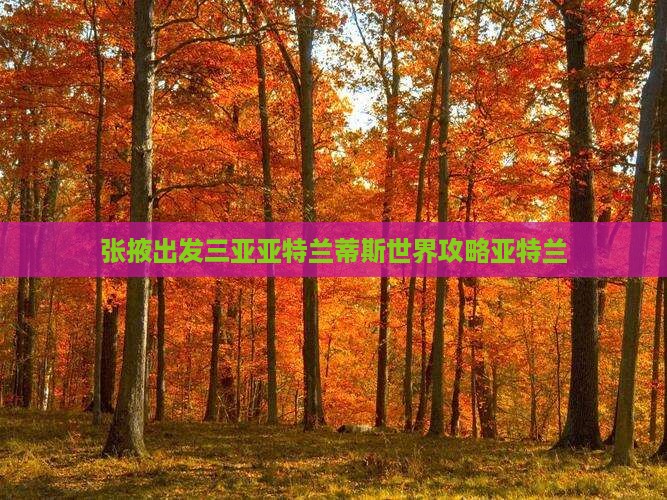 张掖去三亚亚特兰蒂斯水世界自由行