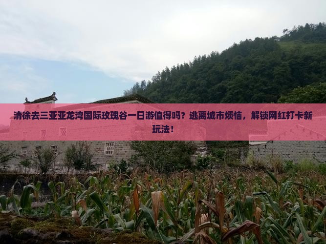 清徐去三亚亚龙湾国际玫瑰谷一日游