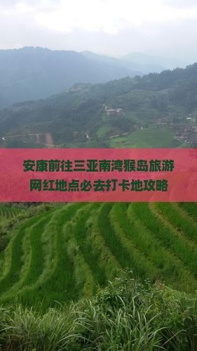 安康前往三亚南湾猴岛旅游网红地点