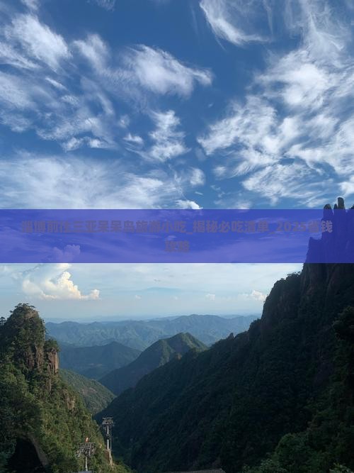 淄博前往三亚呆呆岛旅游小吃