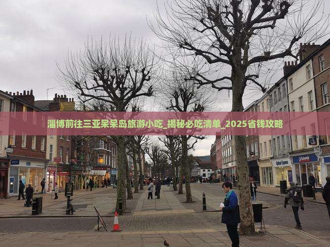 淄博前往三亚呆呆岛旅游小吃