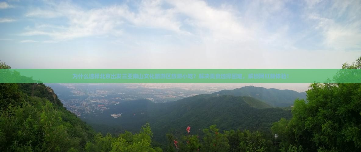 北京出发三亚南山文化旅游区旅游小吃
