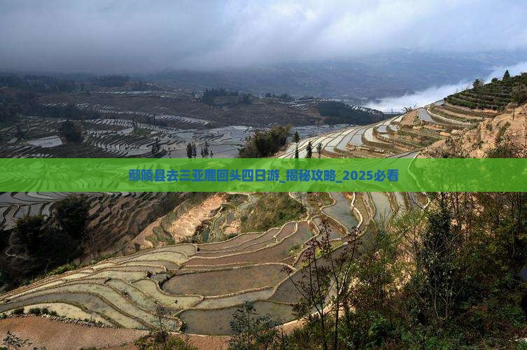 鄢陵县去三亚鹿回头四日游
