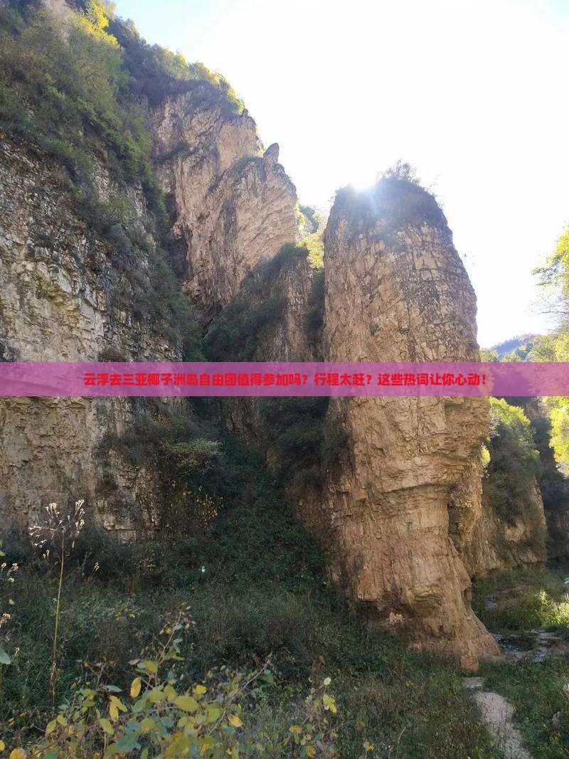 云浮前往三亚椰子洲岛自由团