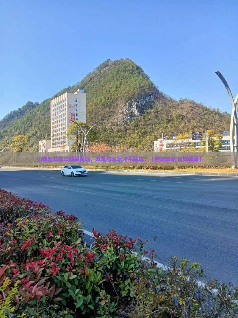 山南前往三亚呆呆岛五日游