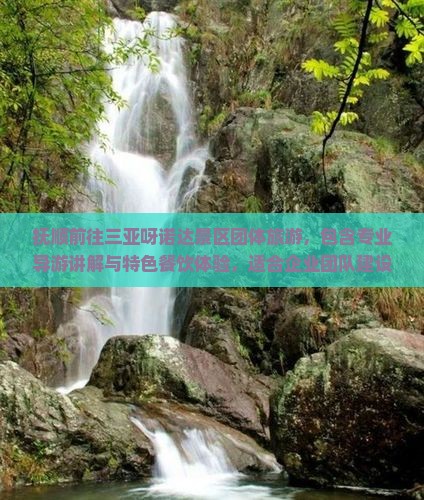 抚顺前往三亚呀诺达景区团体旅游
