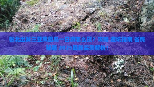 张北出发三亚凤凰岛一日游